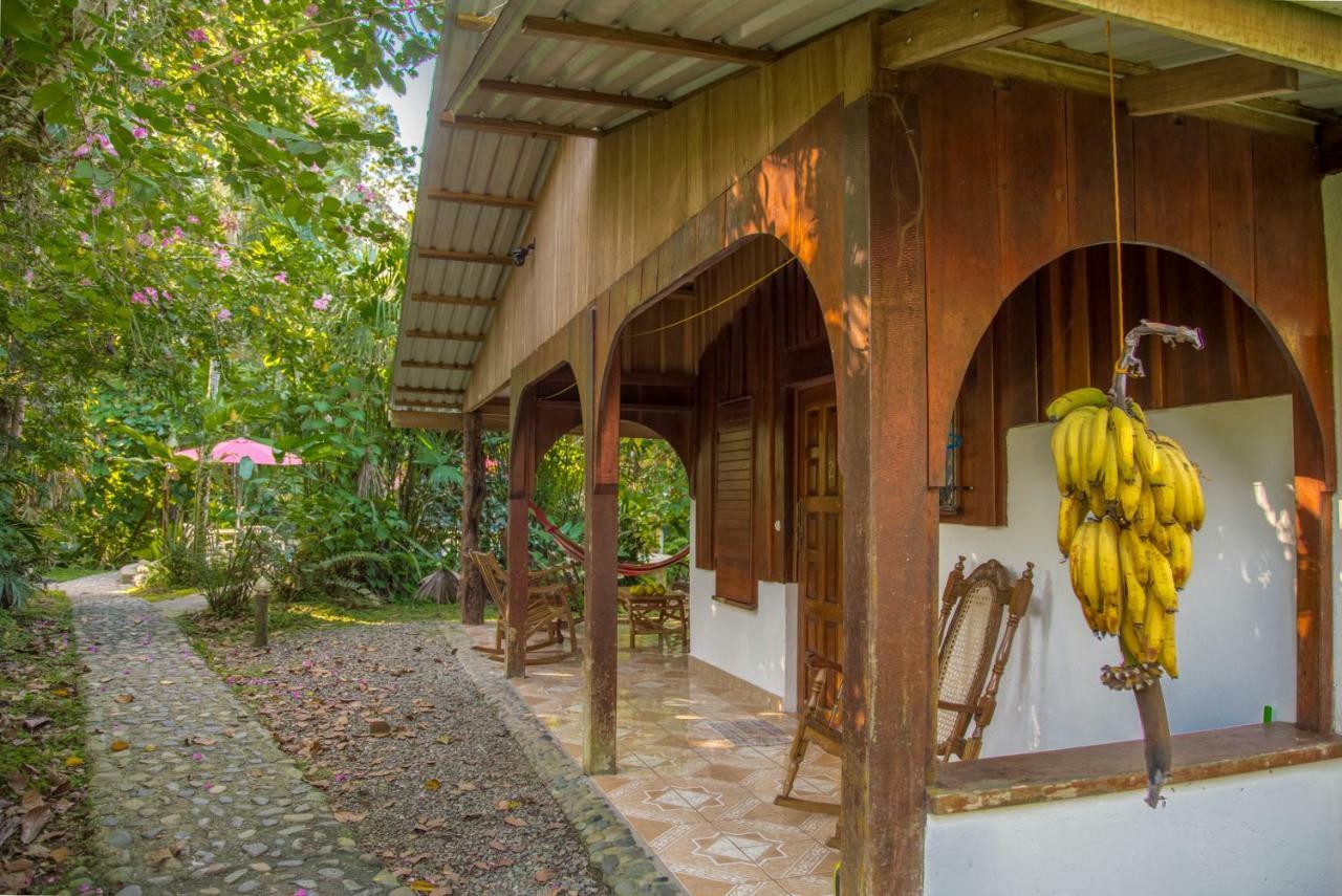 Cabinas Iguana Cahuita Eksteriør billede