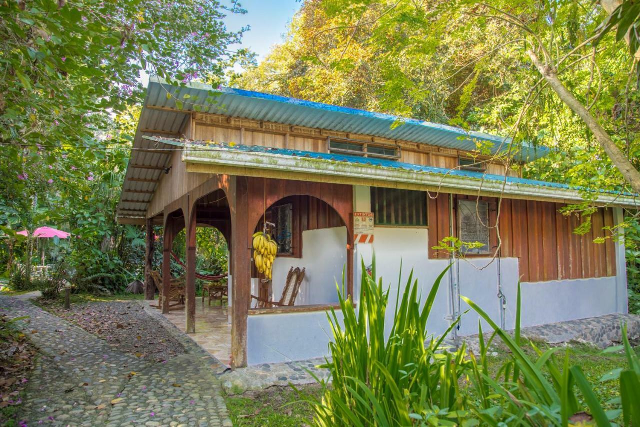 Cabinas Iguana Cahuita Eksteriør billede